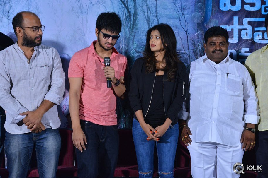 Ekkadiki-Pothavu-Chinnavada-Movie-Thanks-Meet